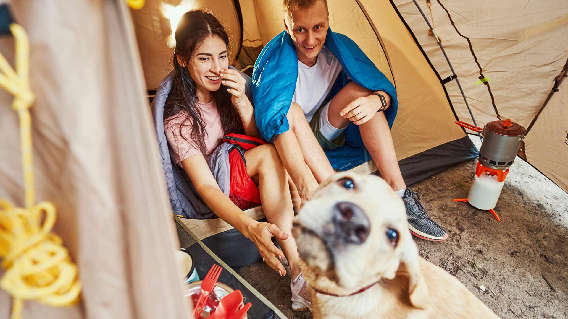 kutyabarát kemping - Mirabella Camping Zamárdi