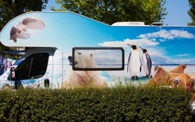 Stay in a caravan at the best campsite around Lake Balaton