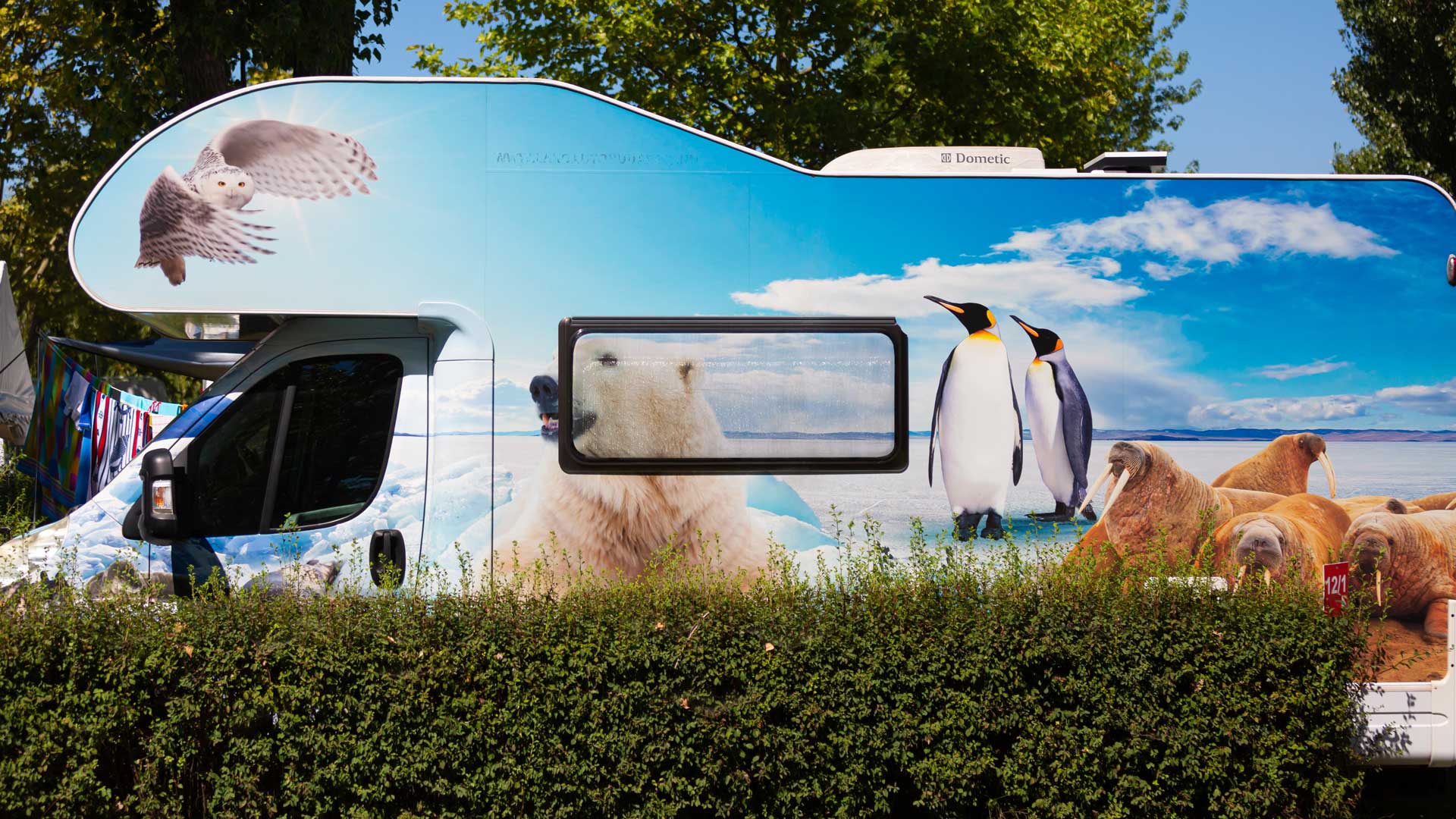 Lakókocsi - Mirabella Camping, Zamárdi, Balaton